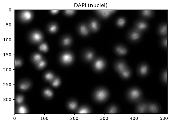 ../_images/4acd6654fcdfc12c1a7f3845ae9336a27618dcc44d1a2551183443723d7e8019.png