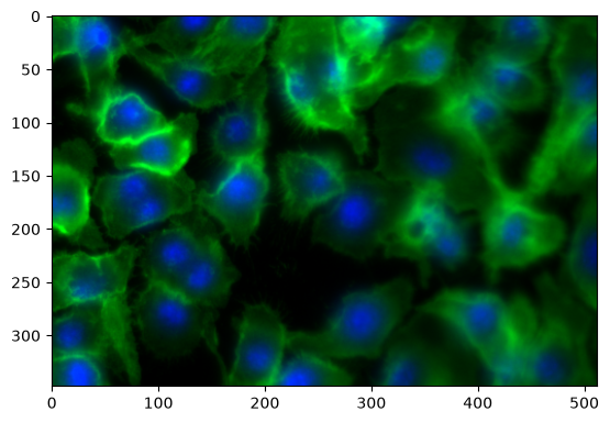 ../_images/8932c2b9f36227812ef83204ed9170e04f86ea3cb86a49af5f708b497a9b872c.png