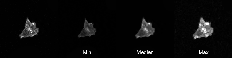 ../../_images/actin_order_filters.png